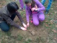 /album/plantare-de-puie%c5%a3i/a1013597-283895705103840-5374741091085359975-n-jpg/