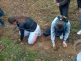 /album/plantare-de-puie%c5%a3i/a1509002-283895145103896-7951769634909555603-n-jpg/