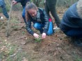 /album/plantare-de-puie%c5%a3i/a1511211-283894065104004-5863261506229715484-n-jpg/